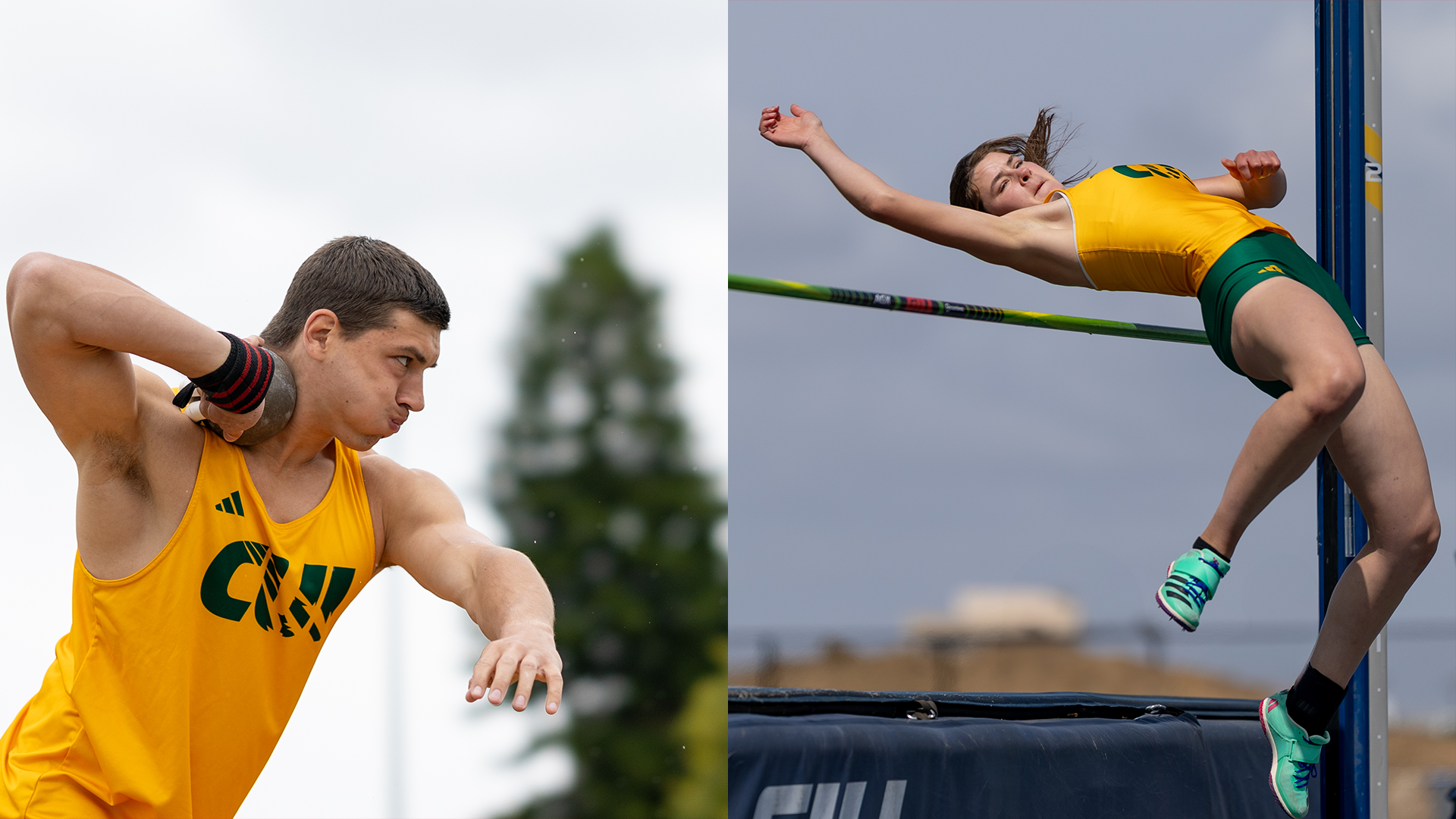 Tim Weller and Telma K in 2025