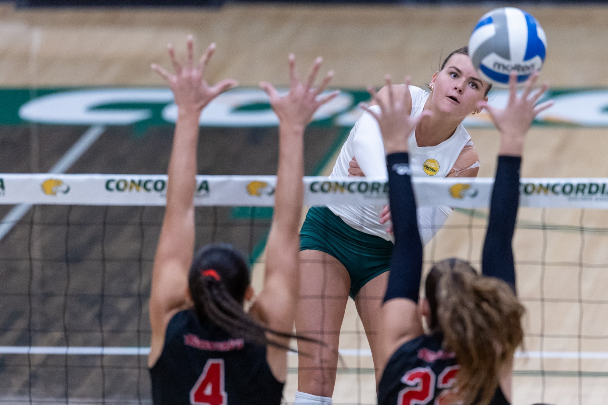 Livia Eyre smashing a kill vs Hawaii Hilo in a 2026 home match