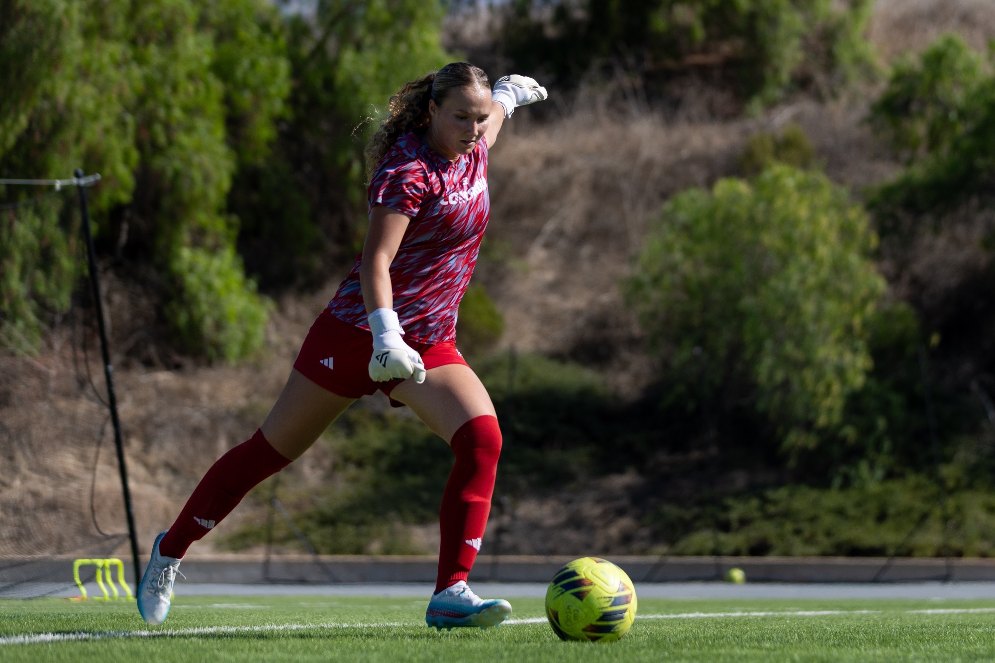 Wsoc fall at pnlu