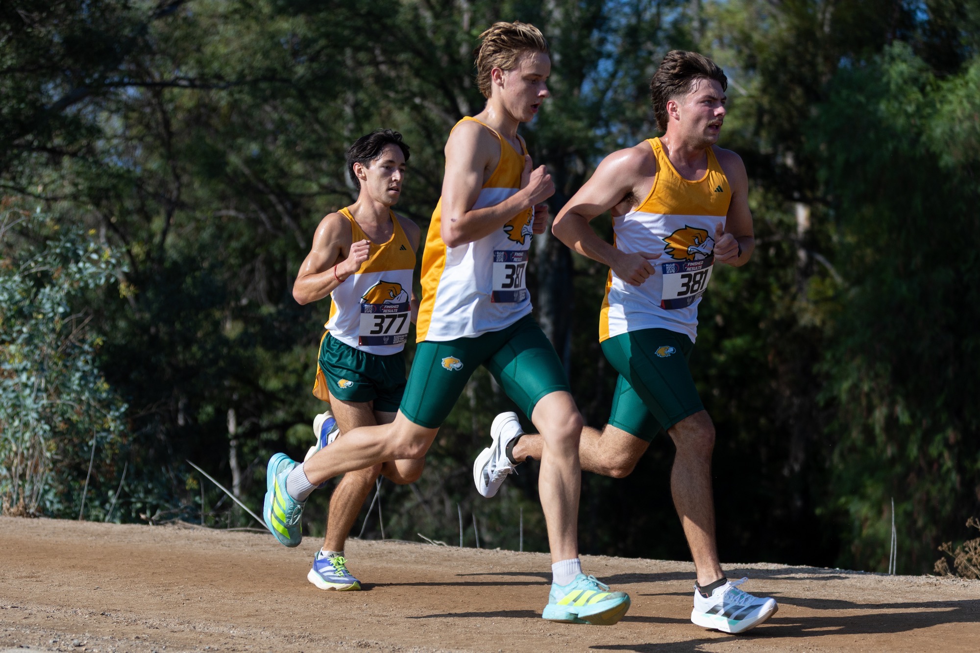 XC Cougar Challenge