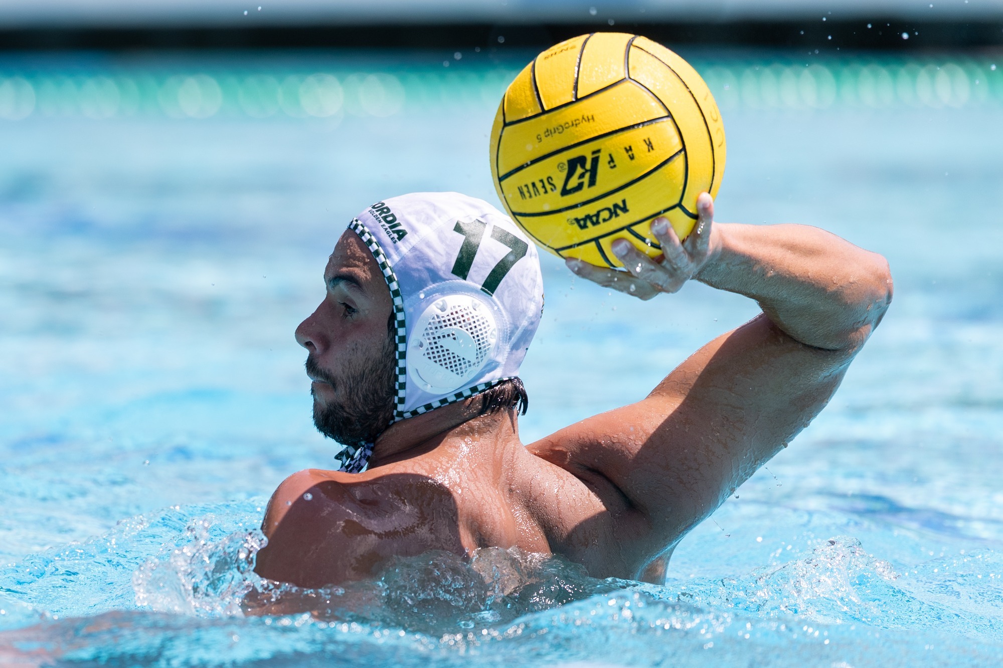 Joao Goncalves 