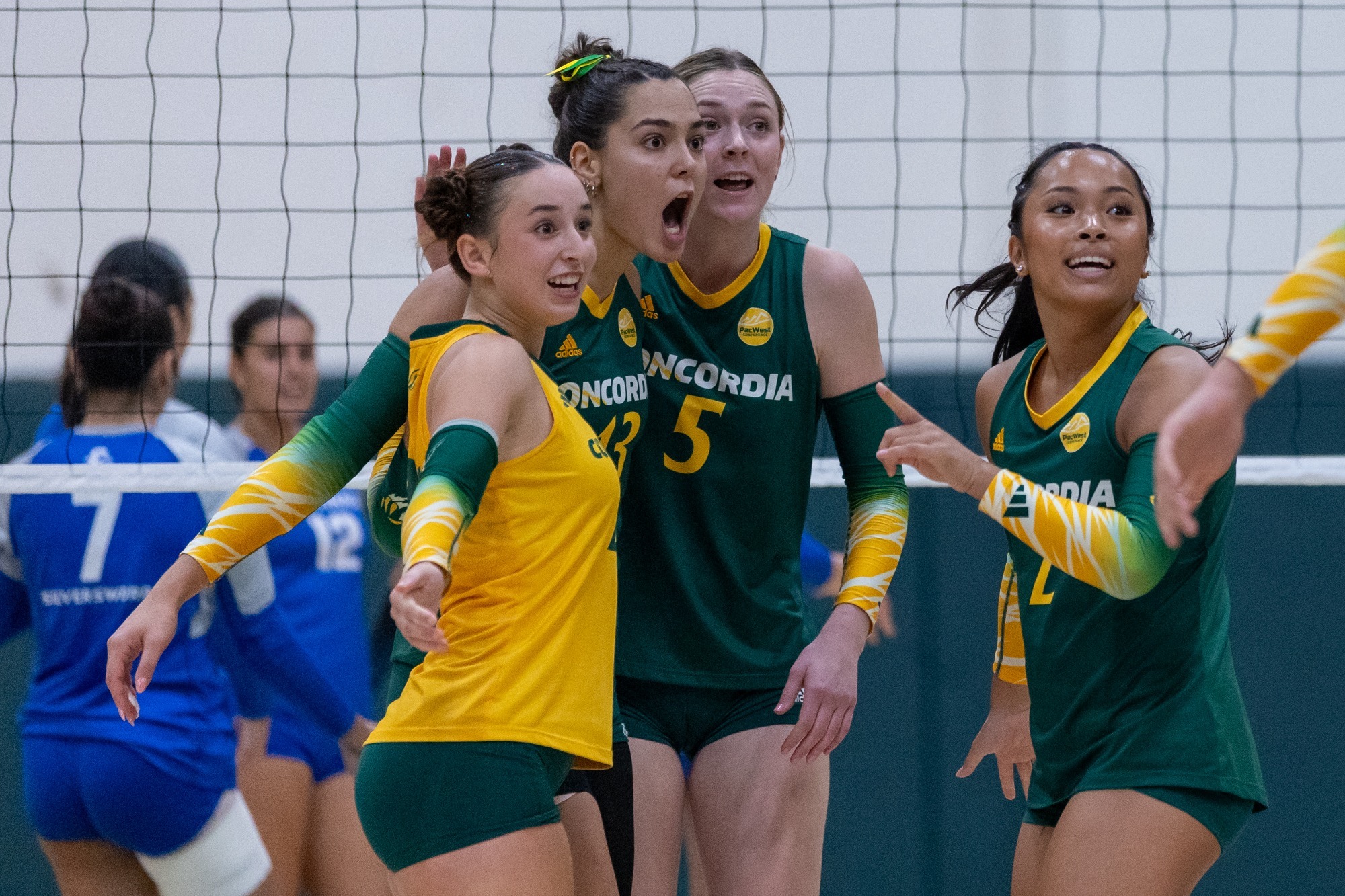 wvb