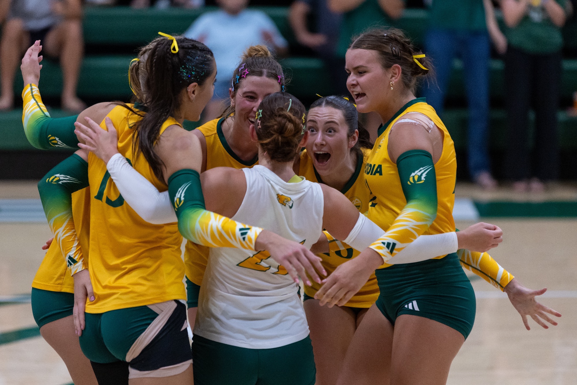 WVB vs DU