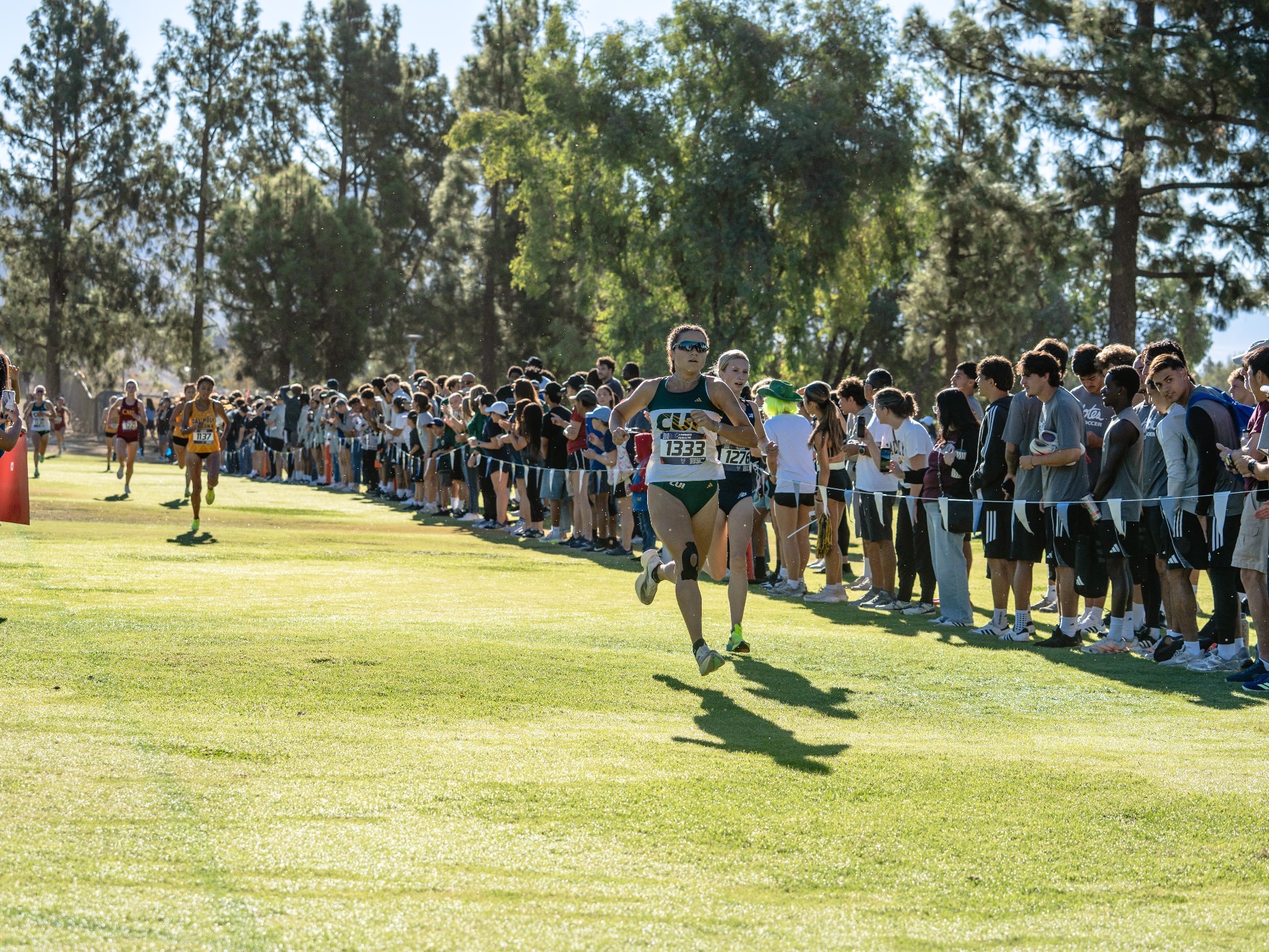 Cross Country at San Bern