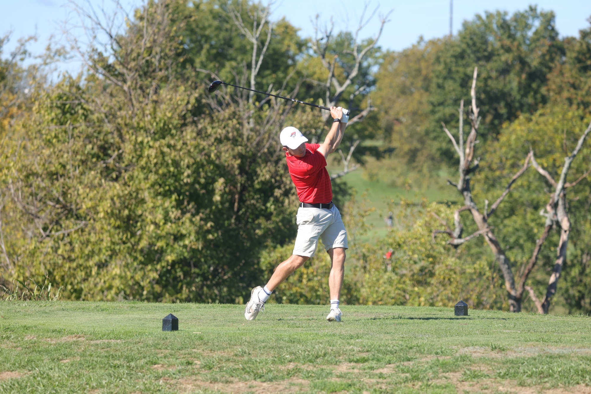 Alexei Butchart Swinging