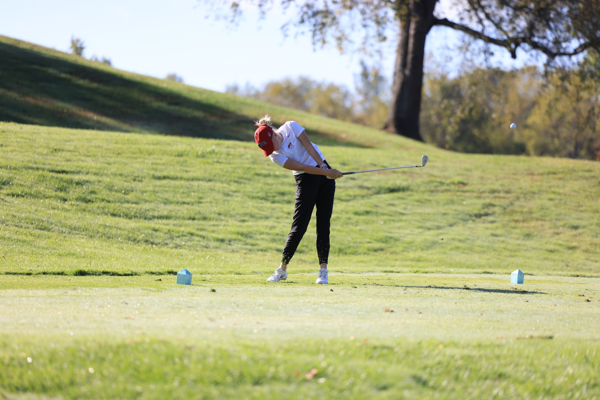 Ainslee Cruce Swinging