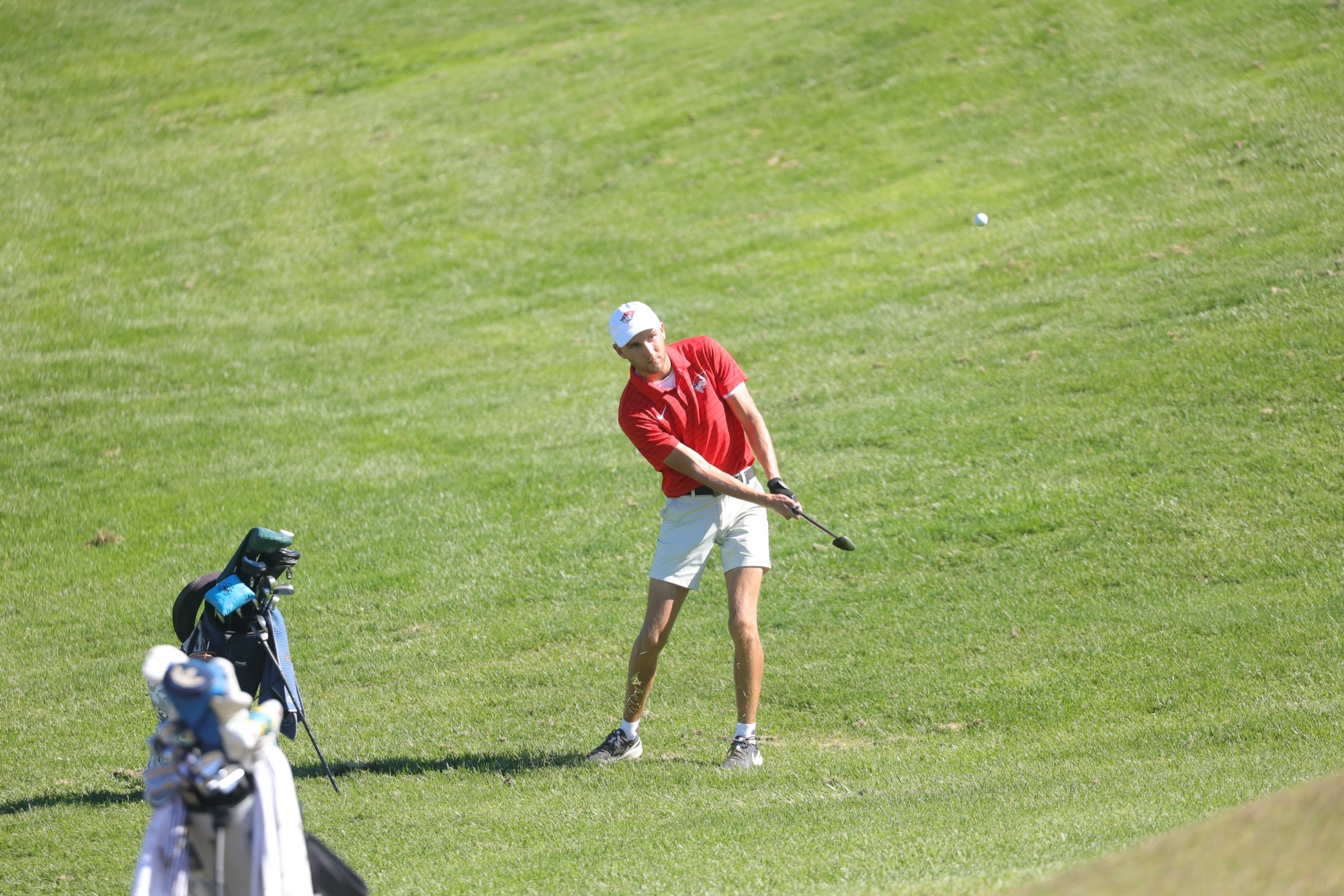 Eli Fischer Swinging