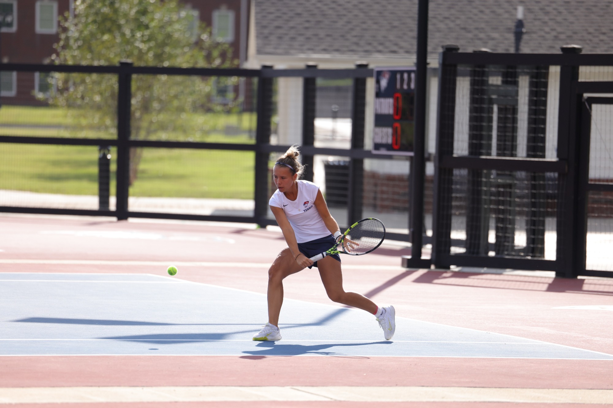Eva Cancarevic Swinging