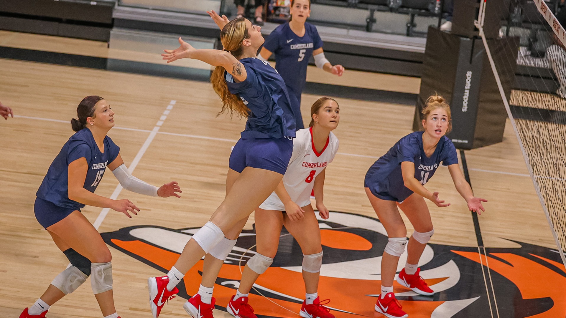 Elaina Fischer going for an attack