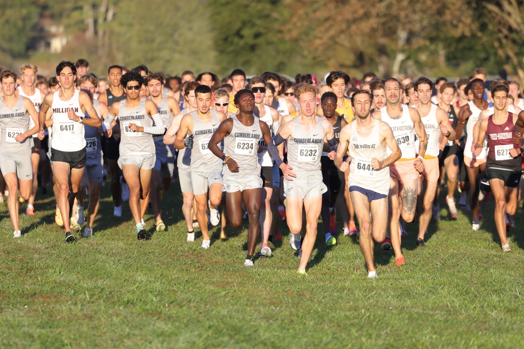 XC