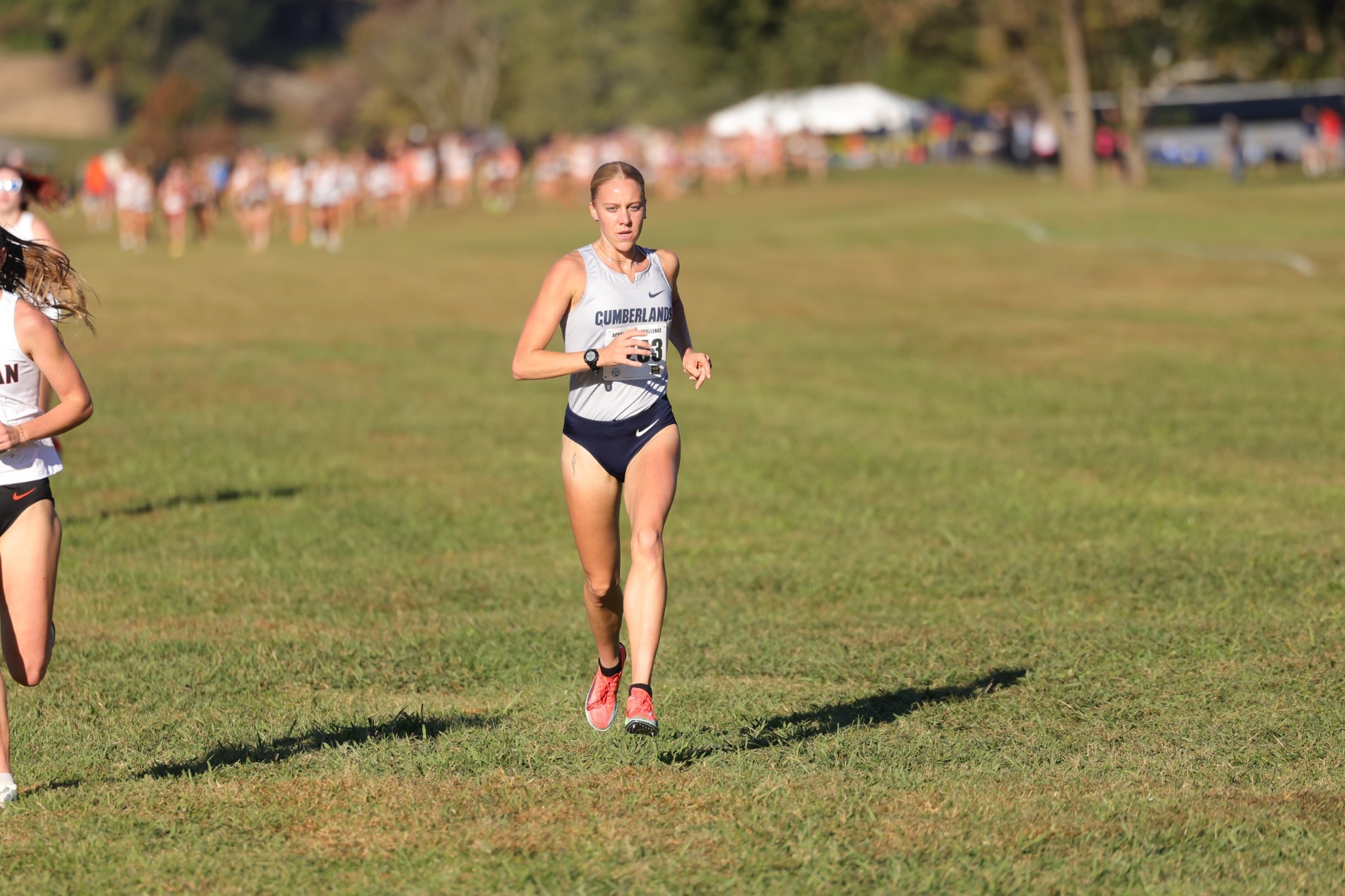 XC