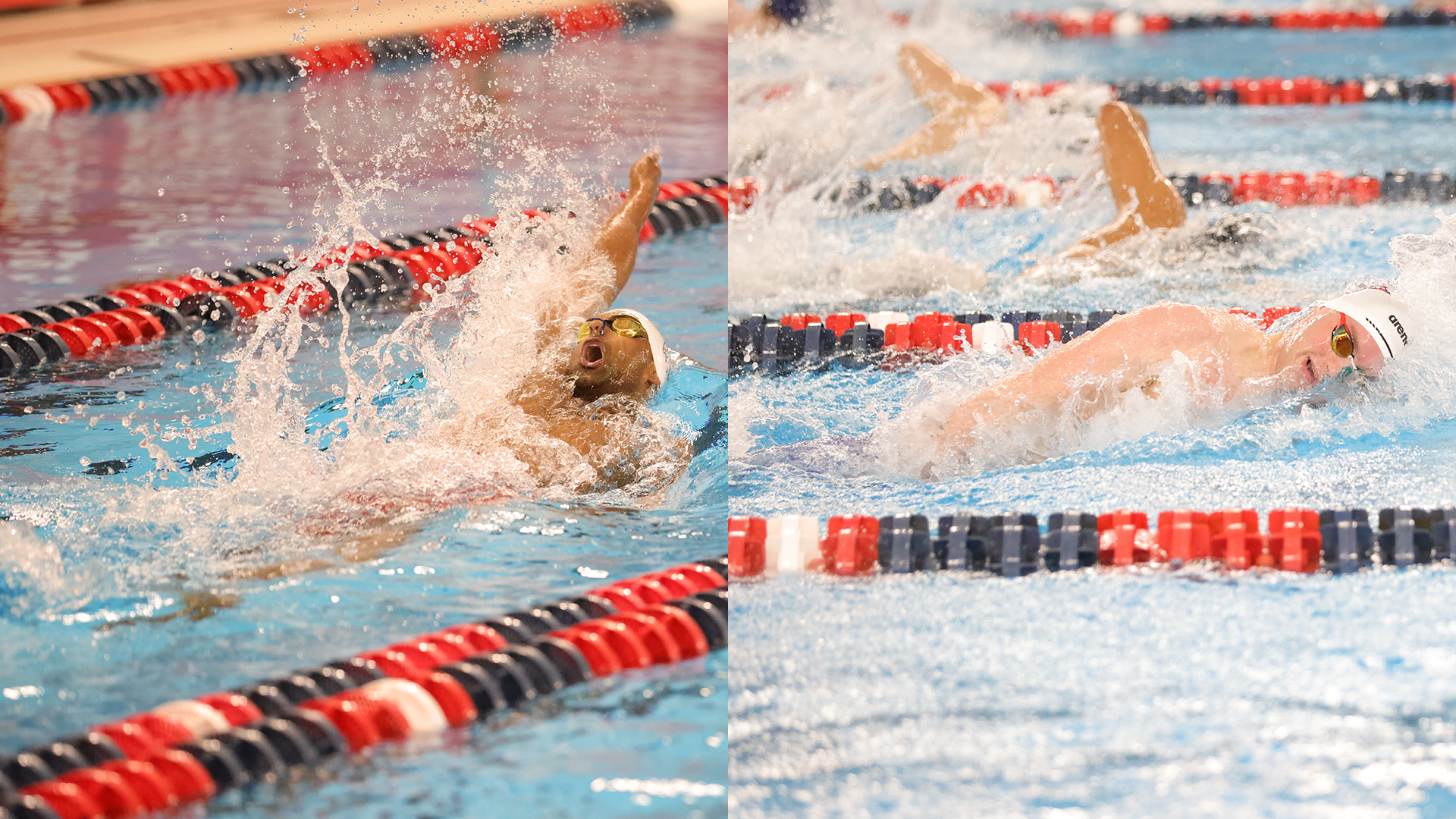 2026 CSC MSWIM Academic All-America