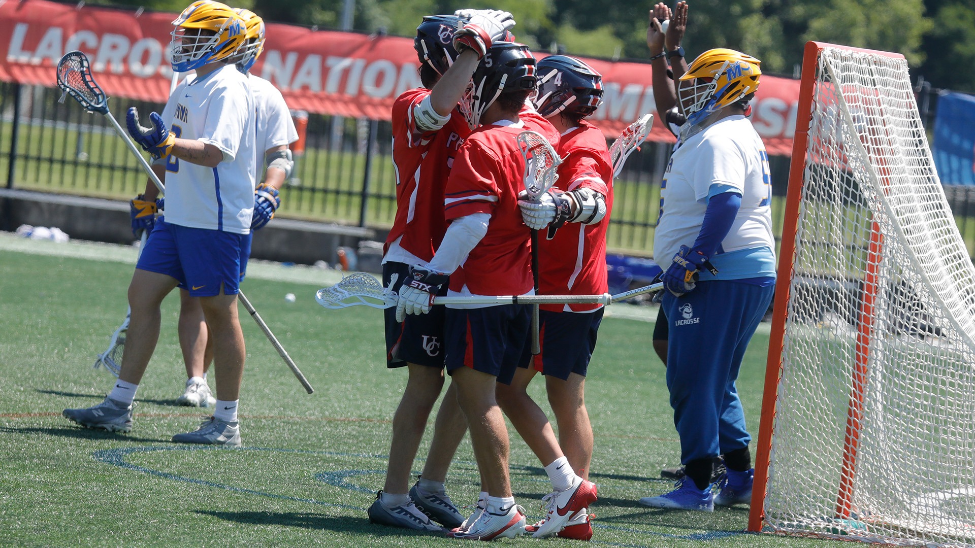 Goal Celebration