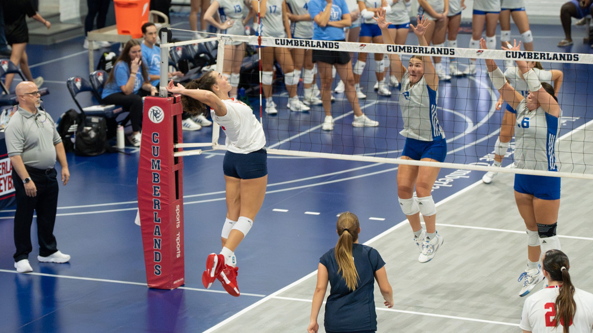 Brynnley Bryant