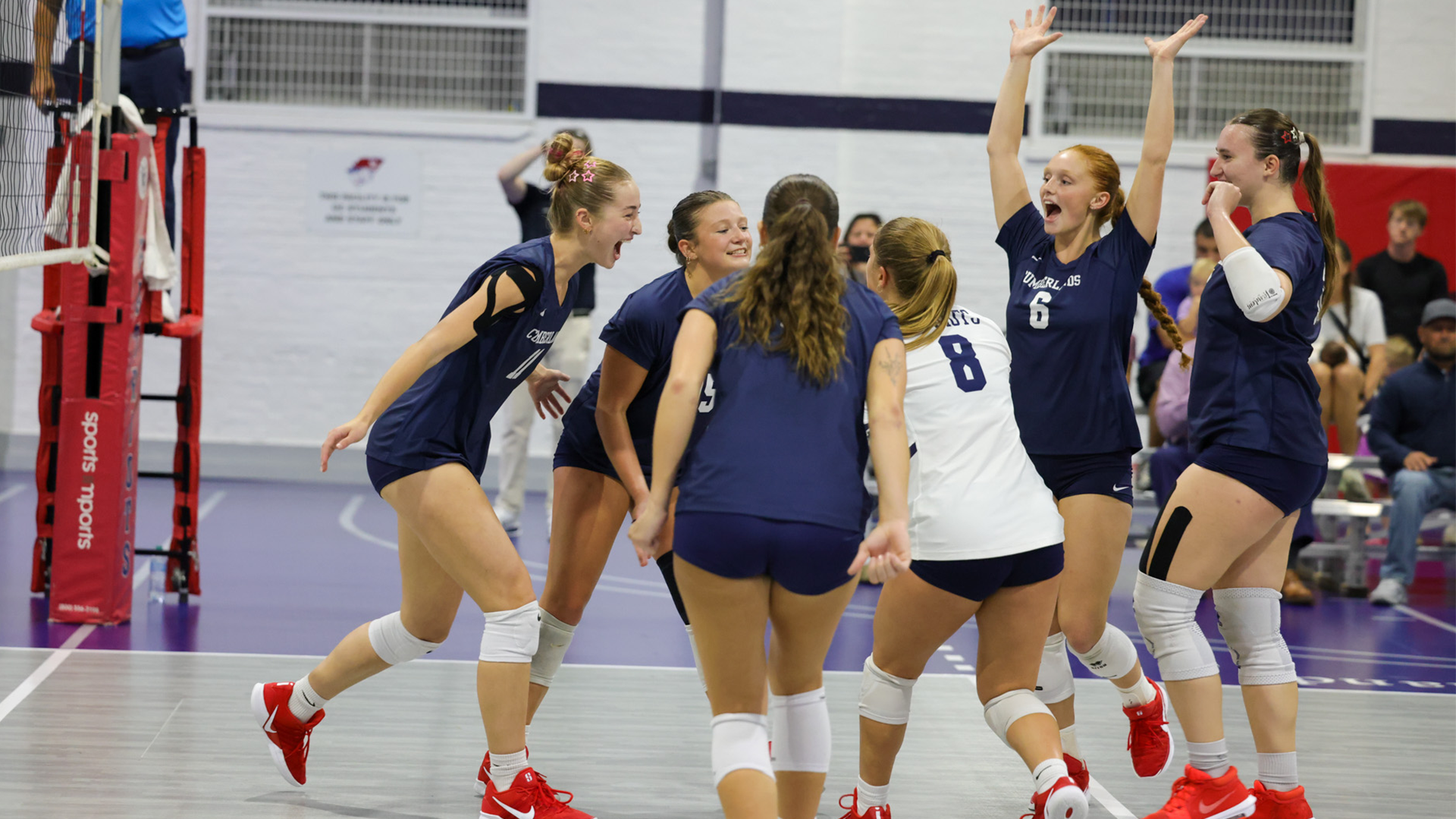 Team Celebration