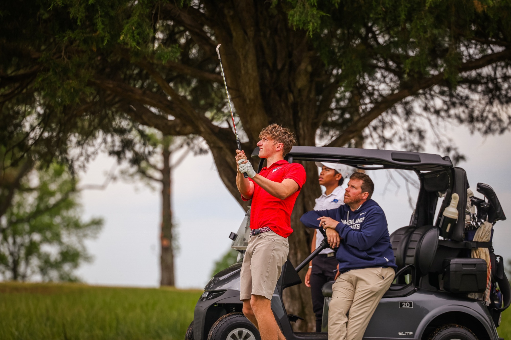 golf