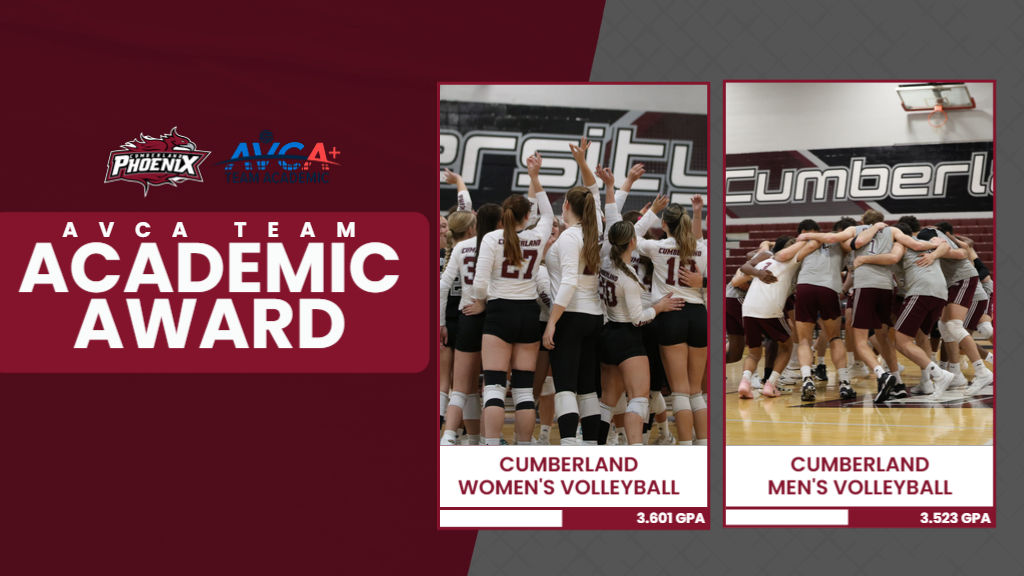 VB AVCA Team Academic Award