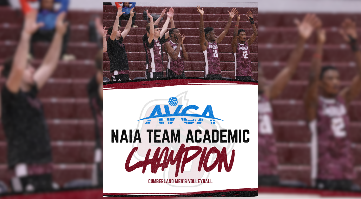 Men's Volleyball AVCA Team Academic Champion