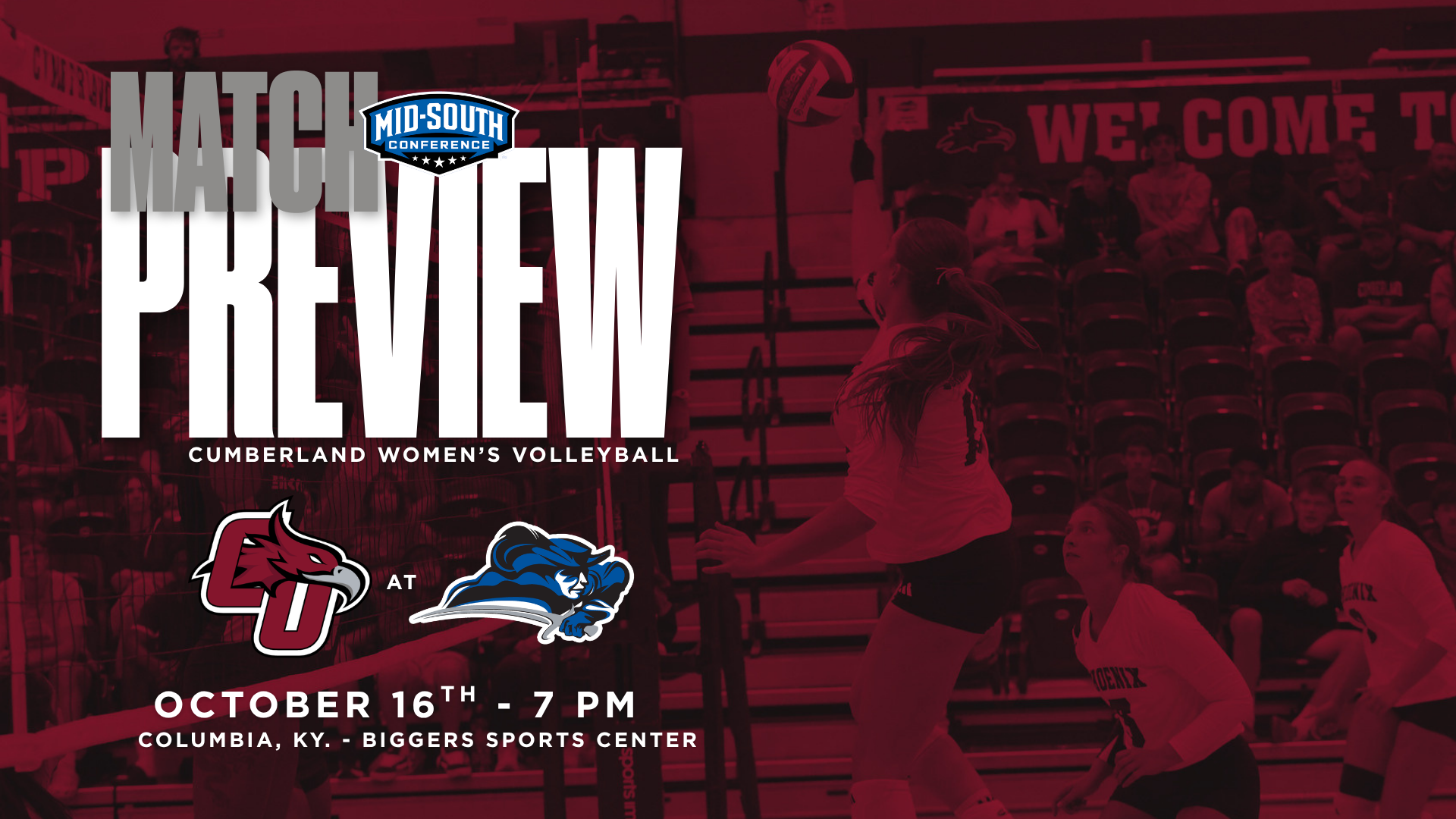 WVB Preview