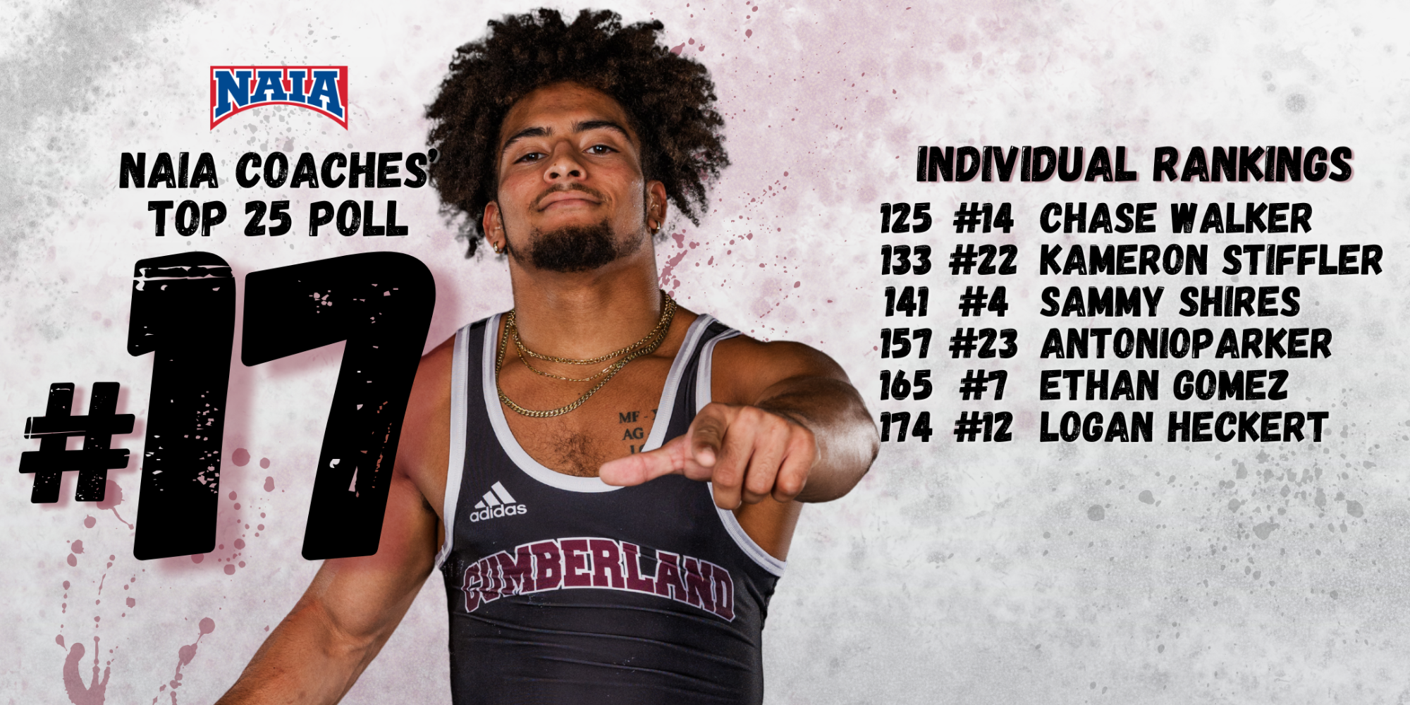 Wrestling Rankings