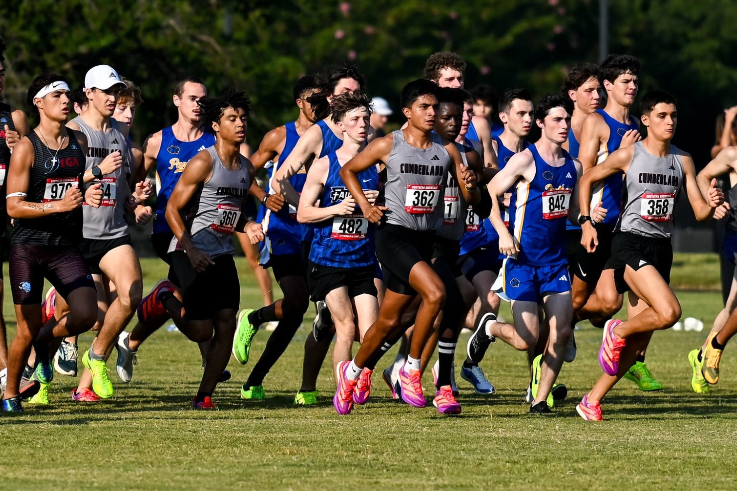 Men's XC