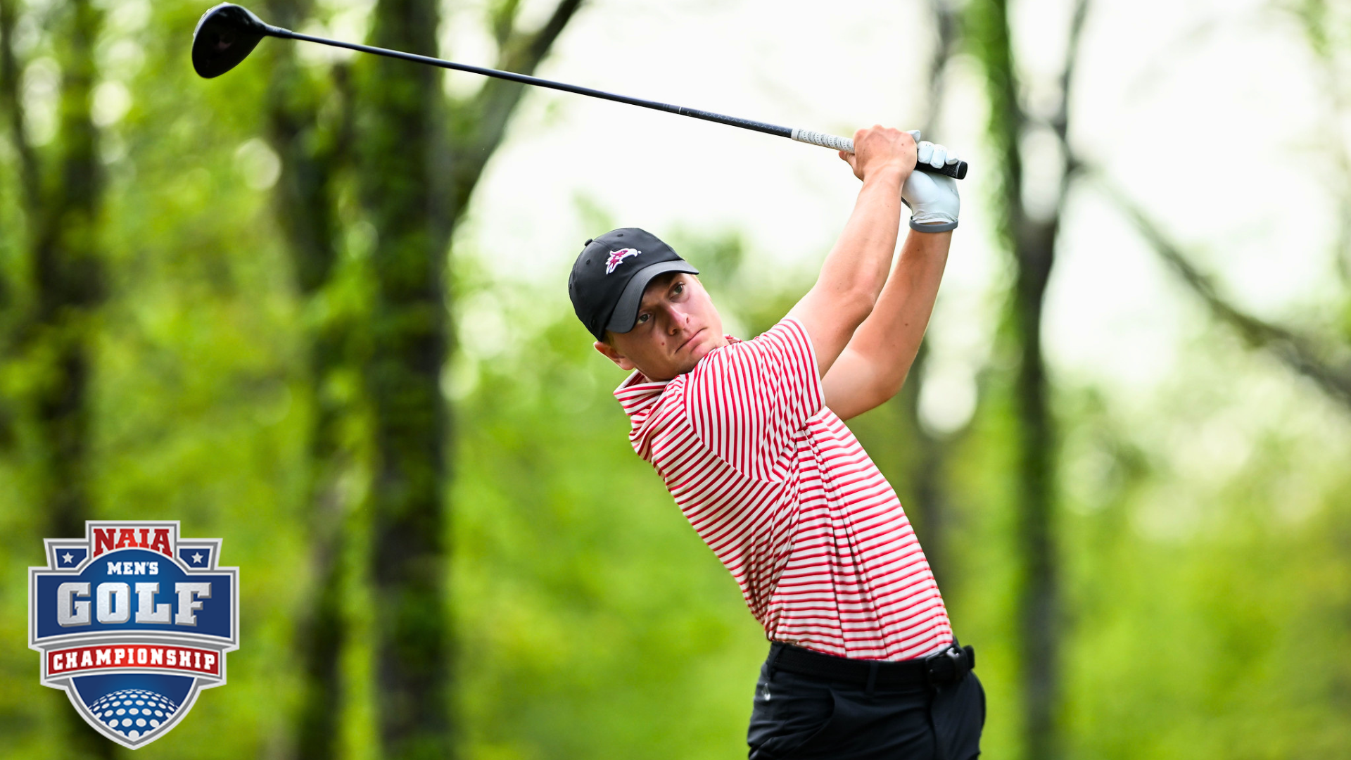 Gustav Tee Times