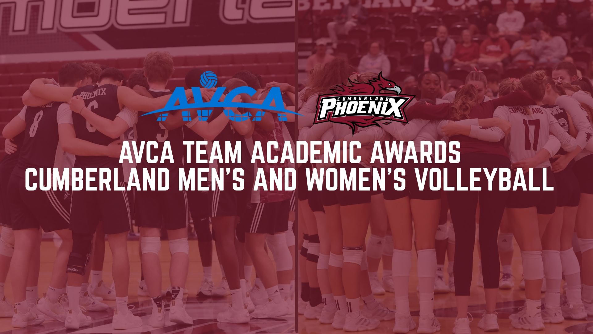 AVCA Academic Award