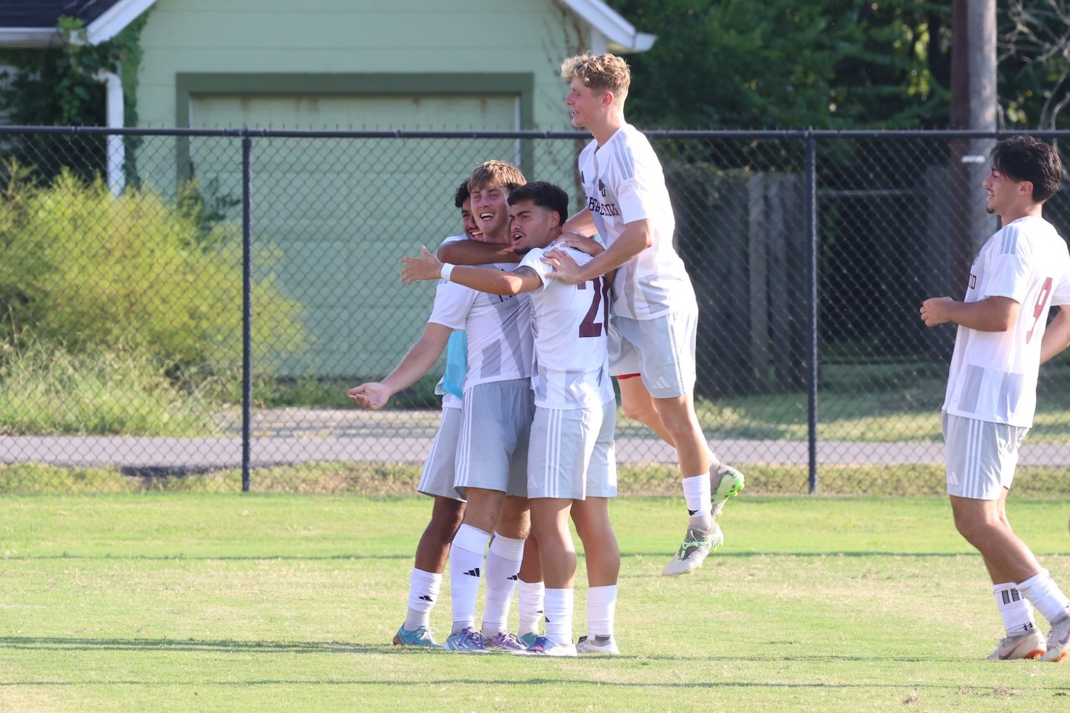 Celly