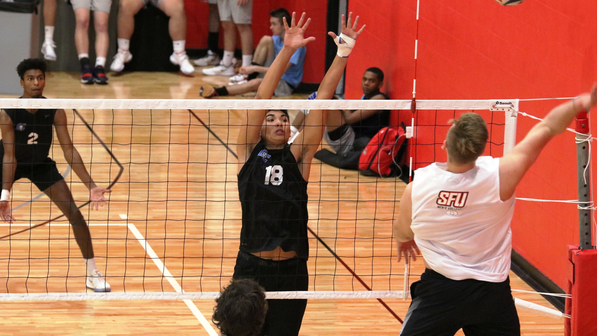 Parker Wade Men's Volleyball Daemen University Athletics
