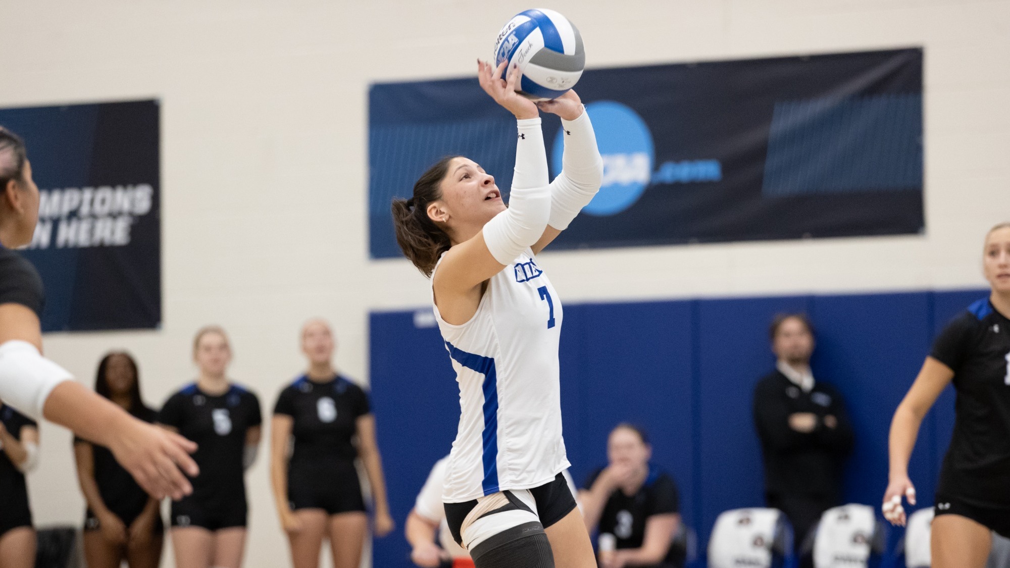 Jarielys Giraud sets the ball in a recent volleyball match for Daemen University