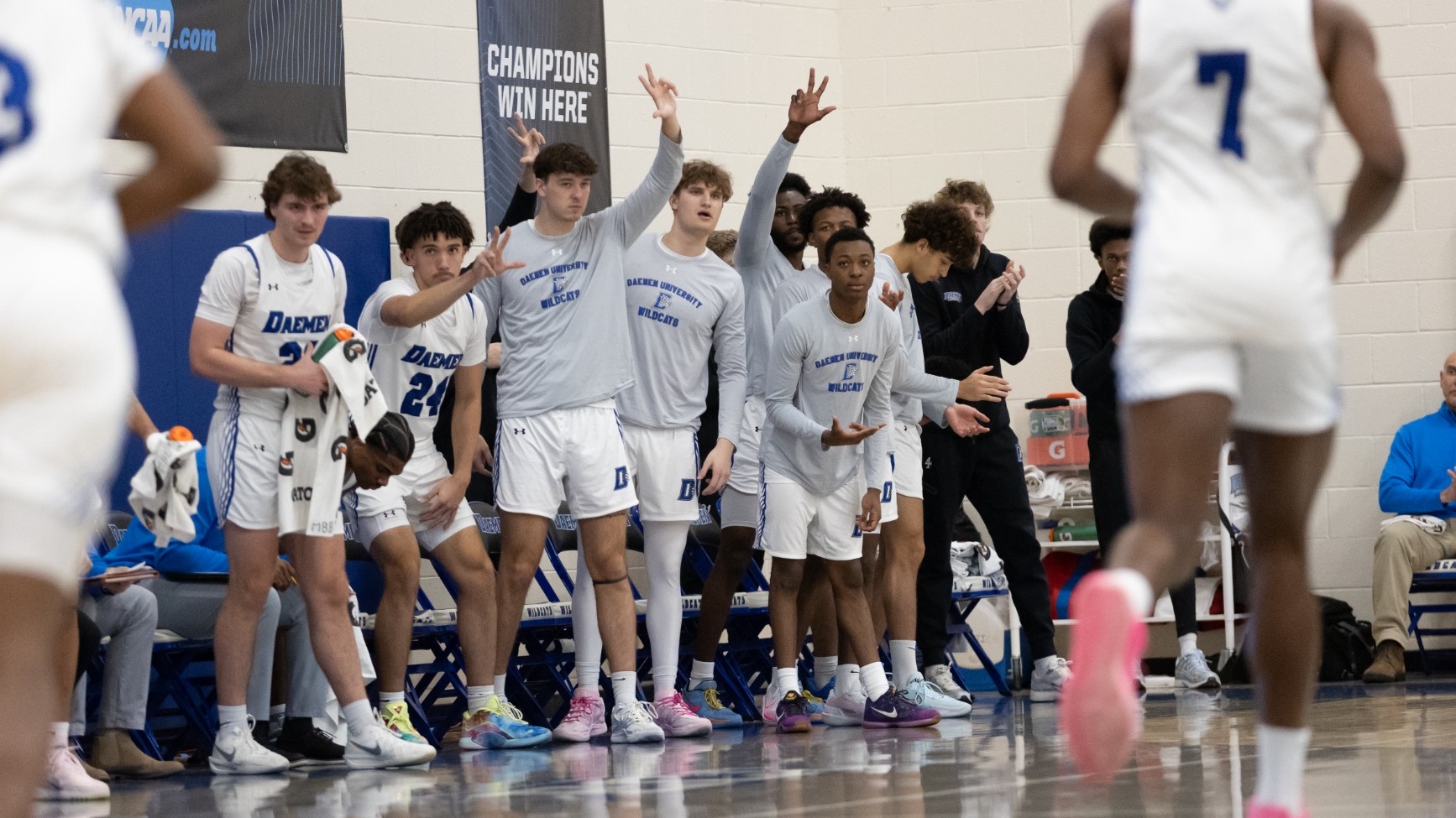 The Daemen men's basketball bench erupts in a celebration following a basket