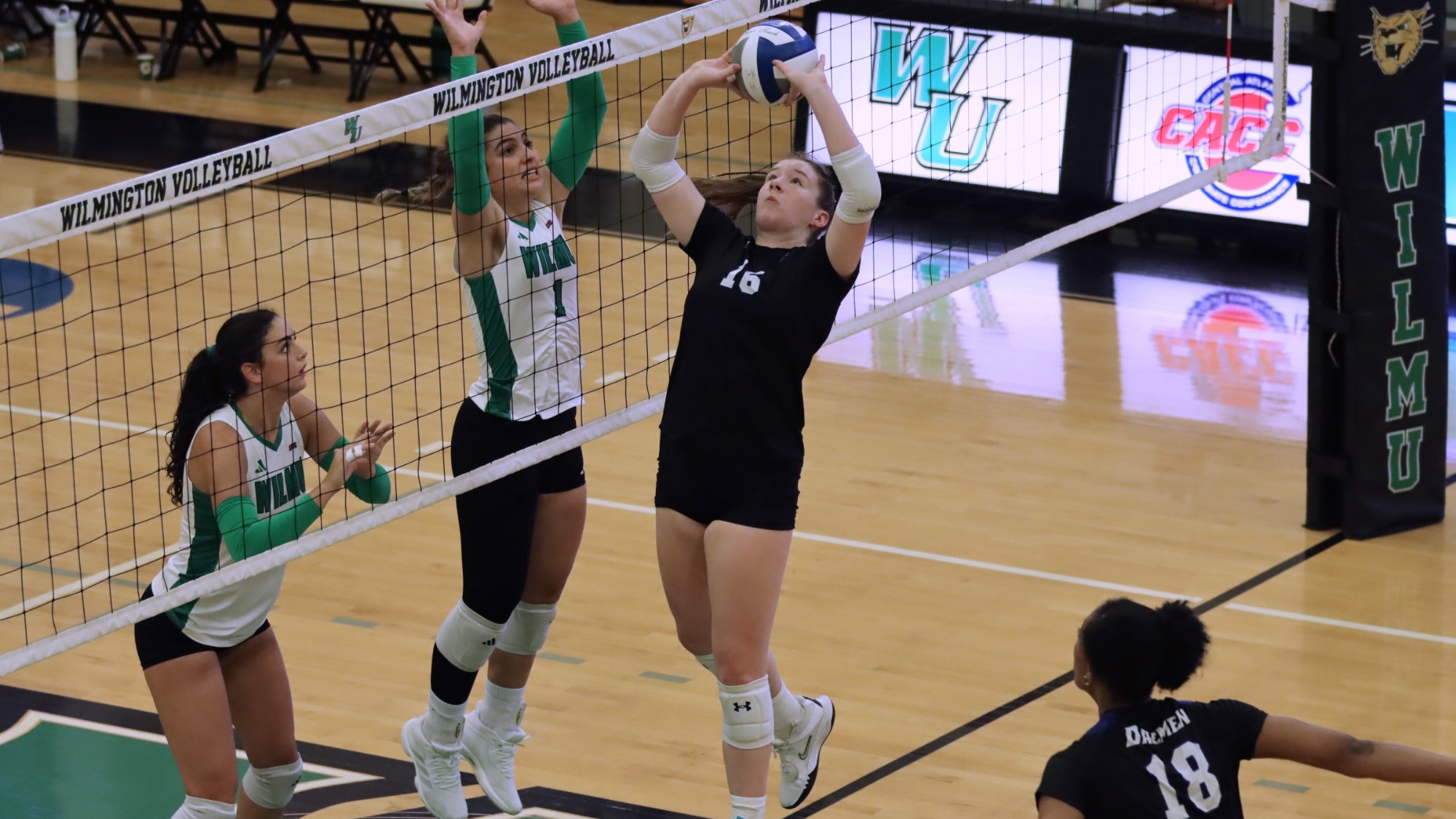 Peyton Lowes sets a ball against Wilmington