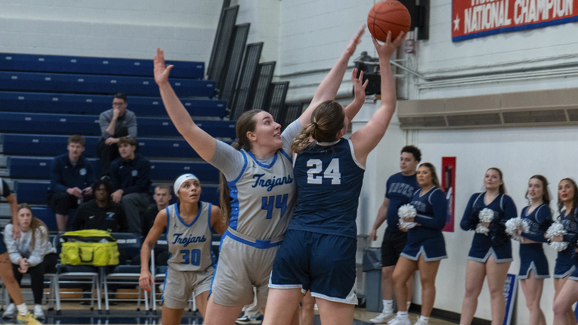 Angelina Chapple - 1/10/26