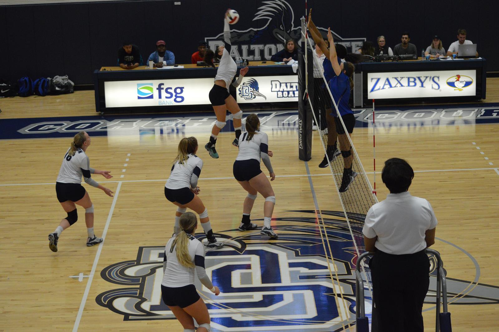 Women's Volleyball-Anna Metzler