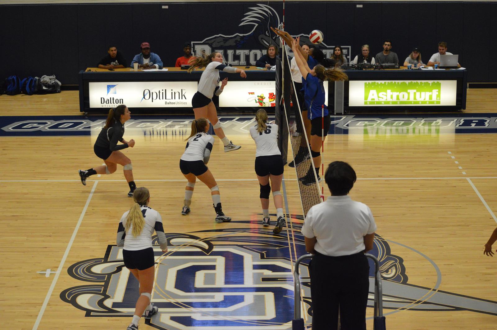 Women's Volleyball-Olivia Keegan