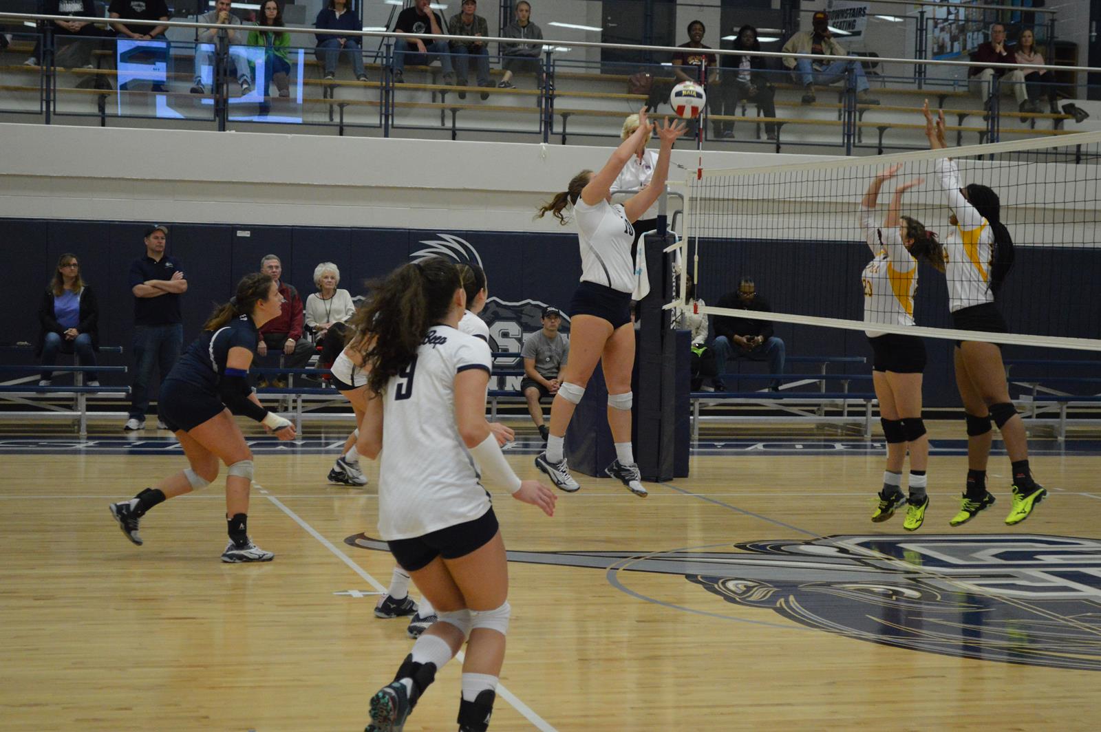 Women's Volleyball-Ryan Burke