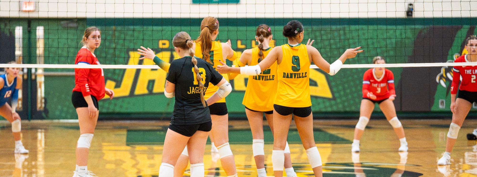 volleyball