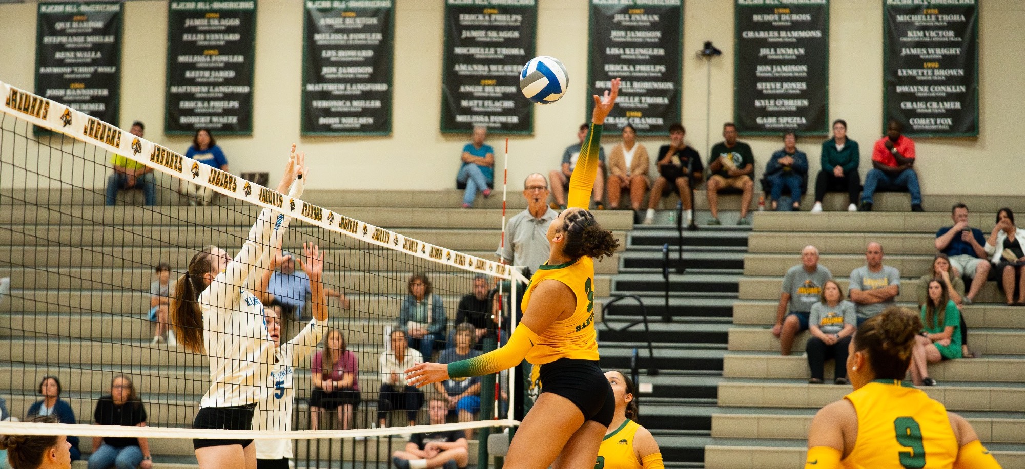 volleyball