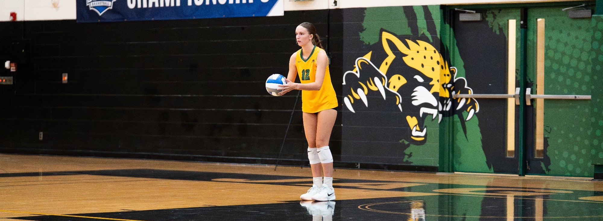 volleyball