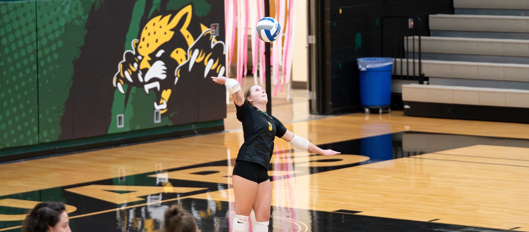 volleyball