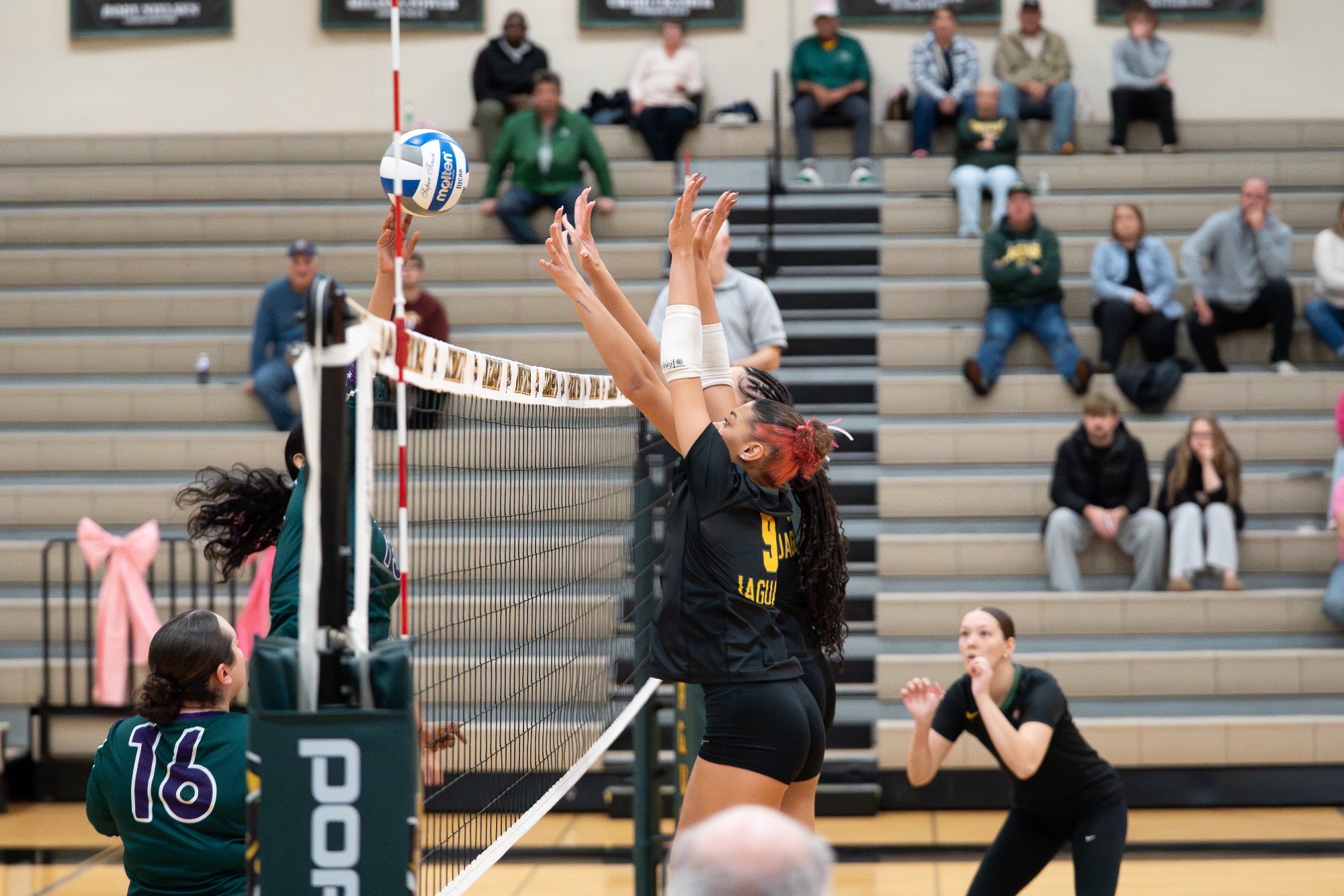 volleyball