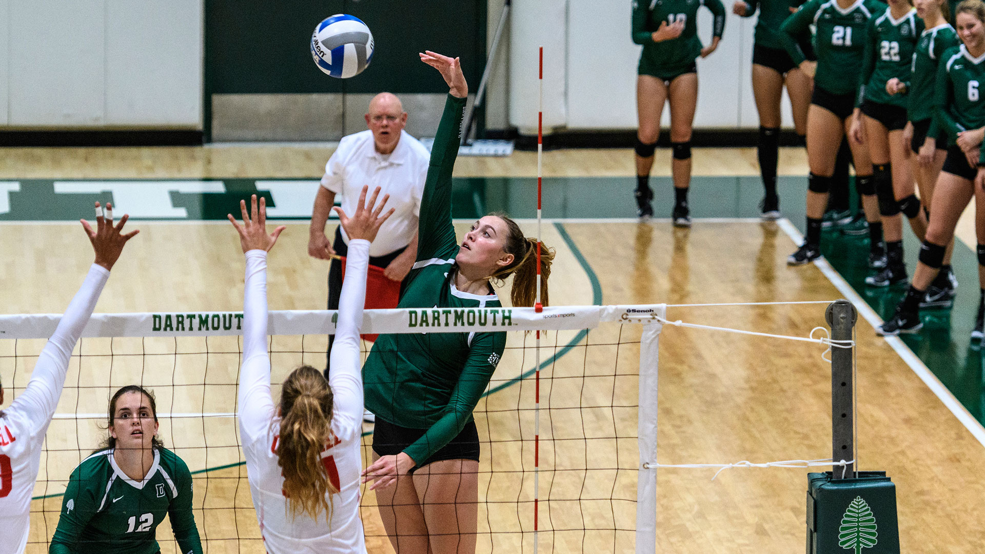 Elise Petit Women's Volleyball Dartmouth College Athletics