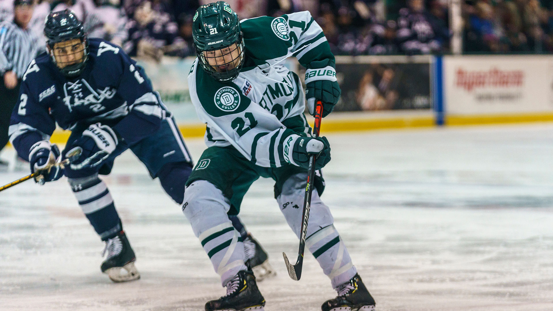 Christian LeSueur Men's Ice Hockey Dartmouth College Athletics