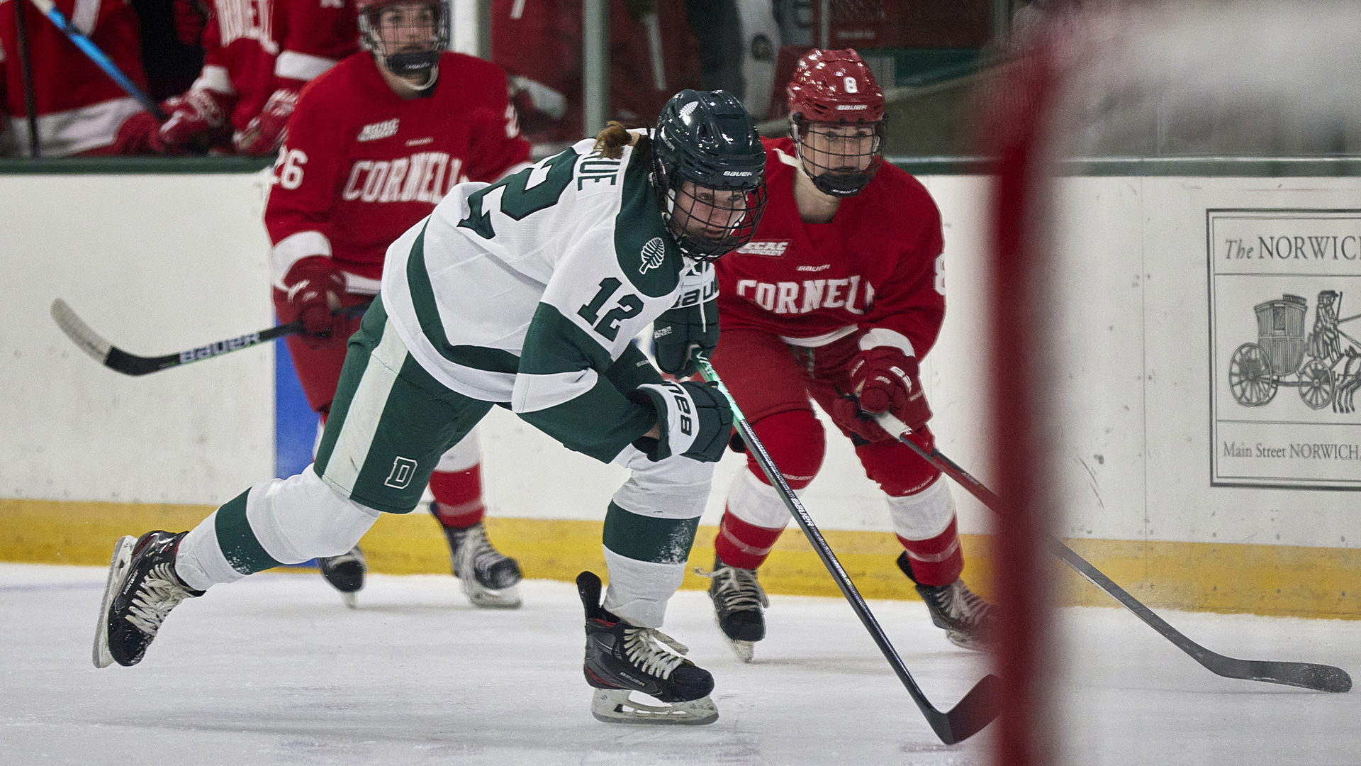 Jenna Donohue Women's Ice Hockey Dartmouth College Athletics