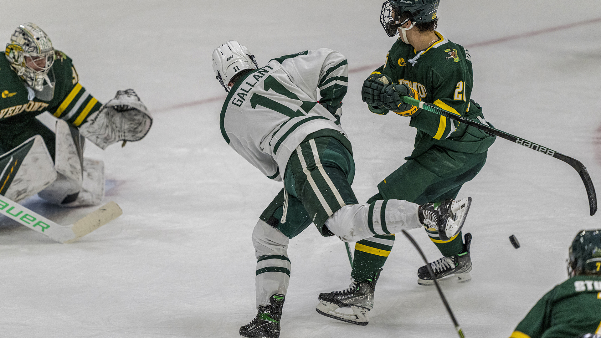 Mark Gallant Men's Ice Hockey Dartmouth College Athletics