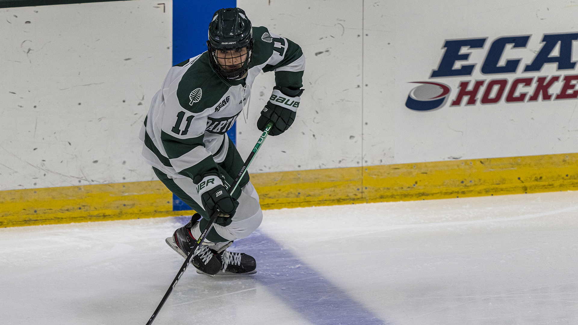Kraus Women's Ice Hockey Dartmouth College Athletics