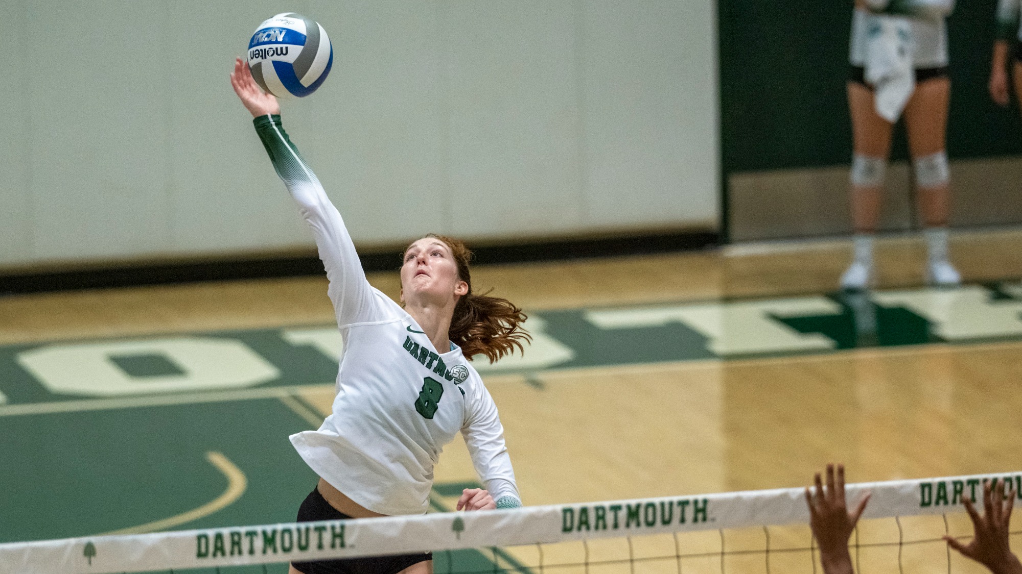 Ellie Blain Women's Volleyball Dartmouth College Athletics