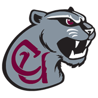 Opponent Logo