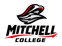 Opponent Logo