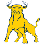 Opponent Logo